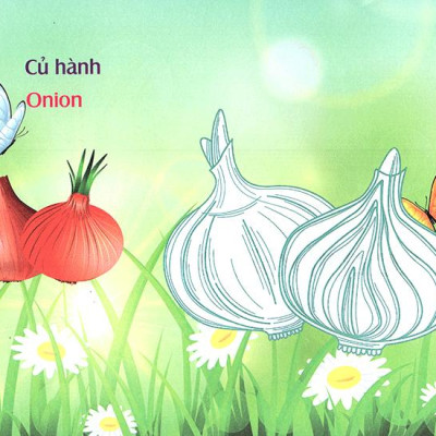 Bé Làm Quen Môi Trường - Rau Củ