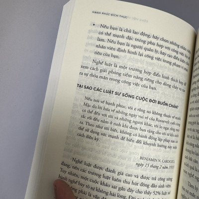 HẠNH PHÚC ĐÍCH THỰC - Áp dụng tâm lý học tích cực để khám phá tiềm năng hạnh phúc lâu dài - M. E. P. Seligman - Bảo Trâm dịch - Times - NXB Dân Trí