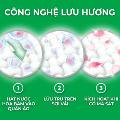 Túi Nước Giặt ARIEL Chuyên Gia Cửa Trên Ngăn Lem Màu - Hương Lavender 3.65KG