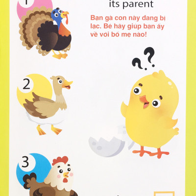 NDB - Animal quiz - đố vui động vật IQ-EQ-CQ ( bộ 4 cuốn )