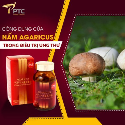 Thực Phẩm Chức Năng Viên Thể Nấm Agaricus Kanehide Bio (300 viên/hộp)