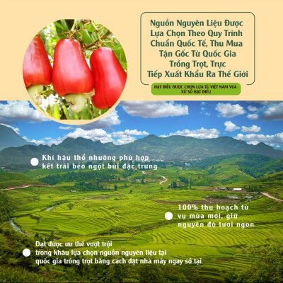 Điều không muối 1kg Dan D Pak