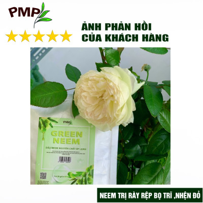 Combo Green Neem Hữu Cơ, Chế Phẩm Vi Sinh Biomic & Giấm Gỗ Sinh Học APY PMP Bảo Vệ Toàn Diện Hoa Hồng, Rau, Cây Cảnh