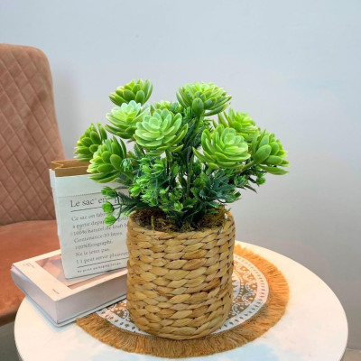 Chậu cây trang trí để bàn kèm giỏ y hình các loại - Cao 35cm đến 48cm - Cây giả, hoa lụa Decor trang trí nhà cửa.