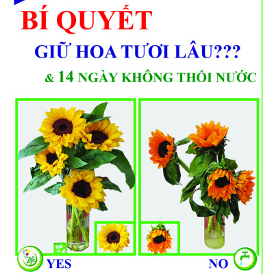 BỘT DƯỠNG HOA LONGLIFE SG CỦA ISRAEL (COMBO 5 KG) BÍ QUYẾT GIỮ HOA TƯƠI LÂU GẤP 2 LẦN DÀNH SHOP HOA BẢO QUẢN HOA CẮM BÌNH, HOA CẮM XỐP TƯƠI LÂU VÀ KHÔNG THAY HOA ĐỊNH KỲ THÁNG