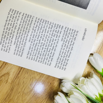 Đại Cương Thiền Quán -Tuệ Sỹ