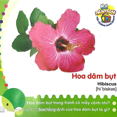 Bé Nhận Biết Môi Trường Xung Quanh - Hoa
