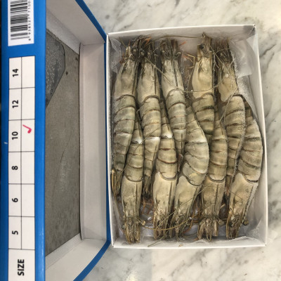 Tôm sú nguyên con sinh thái Seaprodex kích cỡ 10 con/hộp, 500gr