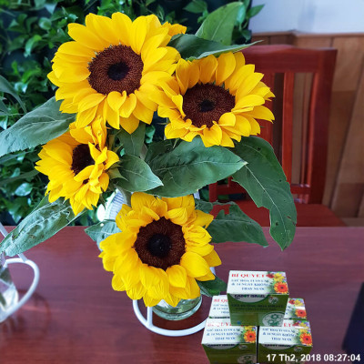 Thuốc cắm hoa Hướng Dương lâu tàn nhập khẩu Israel (Set 50 gói) giúp hoa tươi gấp 2 lần và 14 ngày không thay nước mới