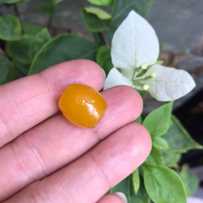 MẶT DÂY CHUYỀN HẠT LU THỐNG CHẤT LIỆU ĐÁ MÃ NÃO MÀU VÀNG TƯƠI LẠ ĐẸP Size Dài 14mm x dầy 13mm