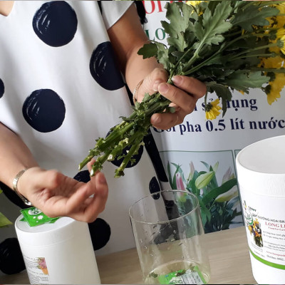 Thuốc Bột Cắm Hoa Tươi nhập khẩu Israel tại shop Florist (1 hủ pha 100L nước cắm hoa) hiệu Longlife SG là bí quyết giúp hoa cắm Xốp tươi lâu và hạn chế chăm sóc thay hoa mới