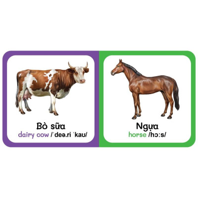 Sách - Bộ 18 Cuốn Từ Điển Bằng Hình Đầu Tiên Của Bé Từ 0-6 Tuổi - Song Ngữ Anh Việt - Việt Thư