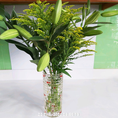 Bộ 5 hộp Chế phẩm xử lý hoa Longlife của Israel - Bảo quản hoa cắm bình tươi lâu và 14 ngày không thối nước