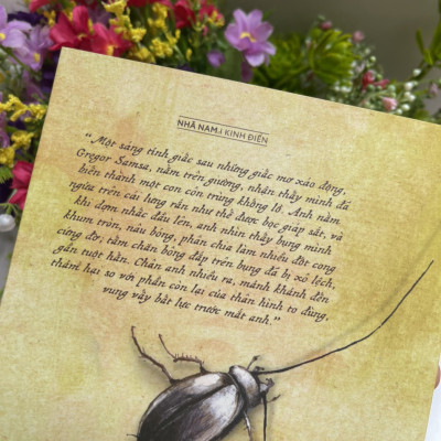 (Tái bản 2023) HÓA THÂN – Franz Kafka – Đức Tài dịch – Nhã Nam – NXB Hội Nhà Văn 