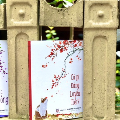 Combo Sách An Trú Trong Hiện Tại - Sách Phật Giáo, Nghệ Thuật, Văn Hóa Tác Giả Khenpo Sodargye ( Tặng ảnh Kinh Hạnh Phúc ) - Hiệu Sách Genbooks, bìa mềm, in màu