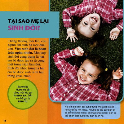 Cuốn Sách Lớn Đầu Tiên Của Tớ - Những Câu Hỏi Tại Sao - Bìa Cứng (Tái Bản 2024)