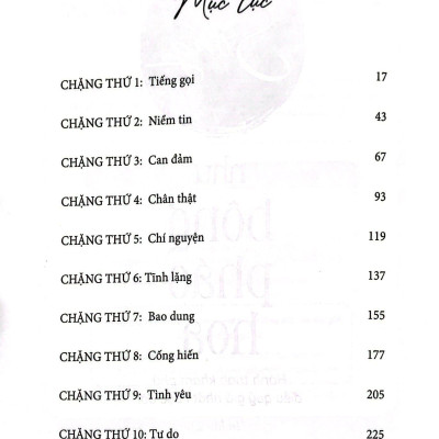 Sống Như Bông Pháo Hoa - Hành Trình Khám Phá Điều Quý Giá Nhất Cuộc Đời