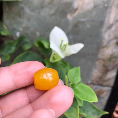 MẶT DÂY CHUYỀN HẠT LU THỐNG CHẤT LIỆU ĐÁ MÃ NÃO MÀU VÀNG TƯƠI LẠ ĐẸP Size Dài 14mm x dầy 13mm