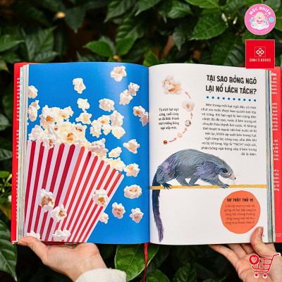 Sách - Bách khoa thư Britannica dành cho trẻ em - Cuốn sách khổng lồ giải đáp 100++ câu hỏi TẠI SAO hóc búa - Đinh Tị