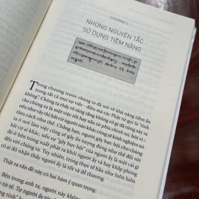[15 năm Thaihabooks] NĂNG ĐOẠN KIM CƯƠNG – áp dụng giáo lý của Đức Phật vào quản trị doanh nghiệp và đời sống - Bìa cứng