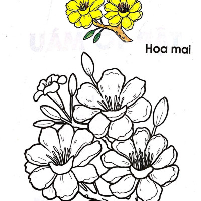 Tập Tô Màu Các Loại Hoa