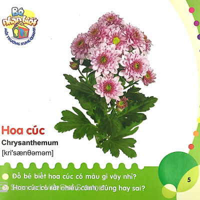 Bé Nhận Biết Môi Trường Xung Quanh - Hoa