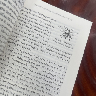 (Ấn bản đầy đủ nhất của Jean-Henri Fabre) CÔN TRÙNG KÝ – Tập 2 - Jean-Henri Fabre - An Lạc Group dịch – Huy Hoàng Bookstore – bìa mềm