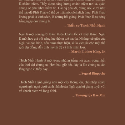 Mỗi Bước Chân Là Thương Yêu - Tập 1 (Bìa Cứng)