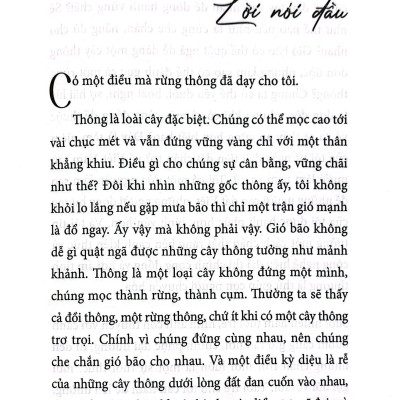 Sống Như Bông Pháo Hoa - Hành Trình Khám Phá Điều Quý Giá Nhất Cuộc Đời