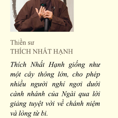 How To See - Nhìn Sao Để Thấy Rõ (Sách Bỏ Túi)