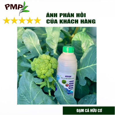 Phân Bón Hữu Cơ Combo đạm cá Hyfish & Phân đậu nành Soymic PMP cho Hoa Hồng