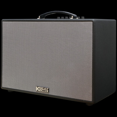 Dàn âm thanh di động xách tay ACNOS CS250PUW - HÀNG CHÍNH HÃNG