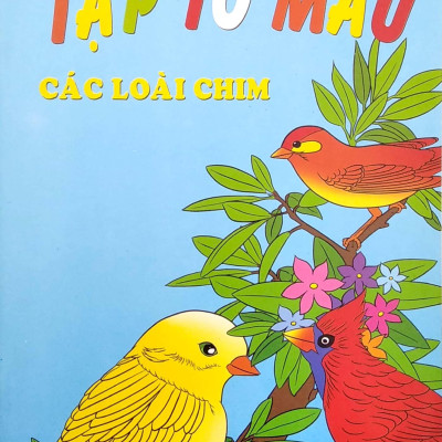 Tập Tô Màu - Các Loài Chim