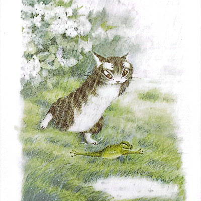 Combo Sách - Mogu Mọt Sách - Loạt Truyện Mèo Dayan (Bộ 4 Cuốn)