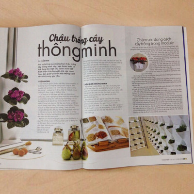 Chậu Trồng Rau Sạch Tự Dưỡng và Tự động tưới Basic UNO nhập khẩu Bồ Đào Nha dùng trồng rau và cây để bàn trong nhà hàng, khách sạn hay hộ gia đình