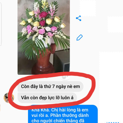 Shop Hoa Bảo Quản Hoa Cắm Lẵng, Hoa Cắm Xốp lâu tàn và hạn chế thay hoa định kỳ bằng Bột Dinh Dưỡng Hoa nhập khẩu Israel hiệu Longlife SG Của Israel (Thùng 5KG Bột Dưỡng Hoa Israel)