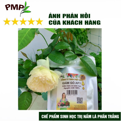 Combo Green Neem Hữu Cơ, Chế Phẩm Vi Sinh Biomic & Giấm Gỗ Sinh Học APY PMP Bảo Vệ Toàn Diện Hoa Hồng, Rau, Cây Cảnh