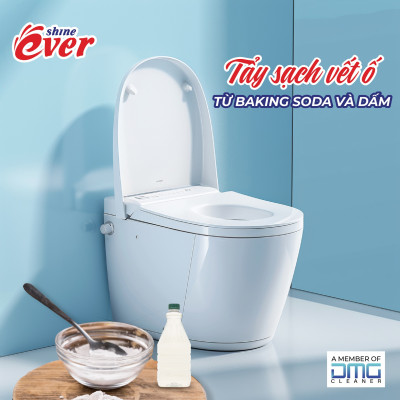 Combo 3 Vỉ Viên Treo Bồn Cầu Evershine Hương Chanh 54 Gr (Tặng 1 Vỉ Viên Treo Hương Lavender)