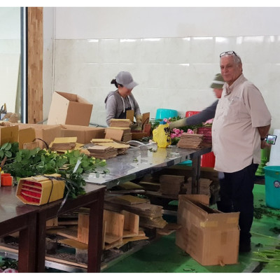 Dung dịch Bảo Quản Hoa Lâu tàn TOG Galileo Theo công nghệ của Israel (Can 5 Lít đậm đặt ) giúp xử lý hoa tươi lâu tại Nhà Vườn Trồng Hoa và Vựa Hoa