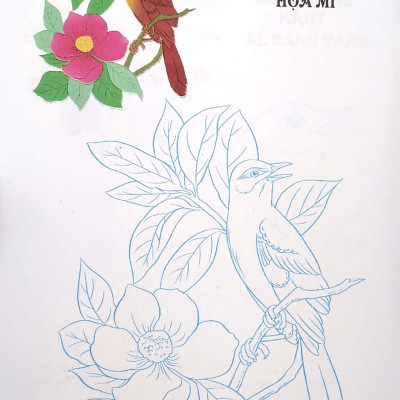 Tập Tô Màu - Các Loài Chim