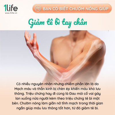 Gối thảo dược mùi hương hoa oải hương & bạc hà 1LIFE