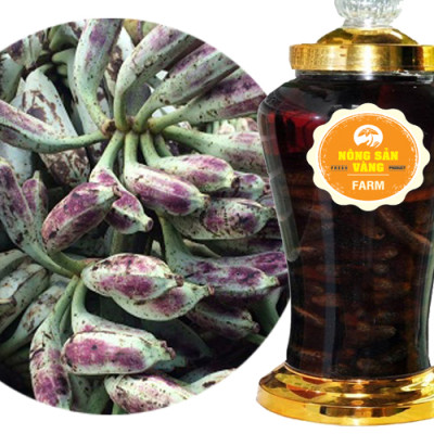 Combo 3kg Chuối Hột Rừng Bóc Vỏ Sấy Khô (mỗi túi 1kg) - Nông Sản Vàng