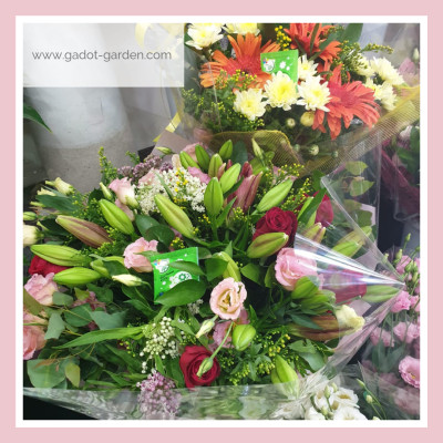 Thuốc Dưỡng Hoa Tươi Cắt Cành Nhập Khẩu Israel hiệu Longlife (1 thùng 1.000 gói 5gr) phù hợp dùng làm nước cắm hoa cho mọi loại hoa tại nhà và 14 ngày không cần thay nước mới