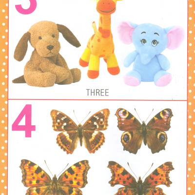 My First Early Learning - Numbers Book (Bài học đầu tiên của tôi - Sách về các con số)