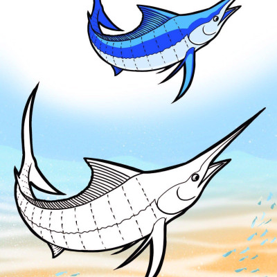 Nào Mình Cùng Tô Màu Nhé! - Đại Dương