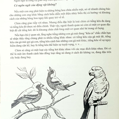 Lịch Sử Hành Trình Và Phát Triển Ngôn Ngữ - Bìa Cứng