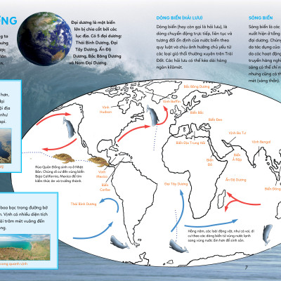 BÁCH KHOA TRI THỨC - KHÁM PHÁ ĐẠI DƯƠNG