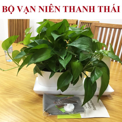 Bộ Chậu Trồng Cây Văn Phòng Thông Minh Tự Động Tưới Basic S Nhập Khẩu Châu Âu, Giúp Cây Phát Triển Tốt