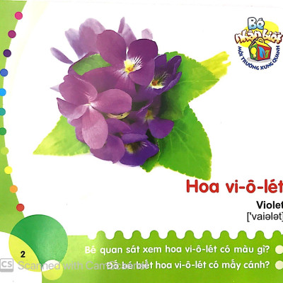 Bé Nhận Biết Môi Trường Xung Quanh - Hoa