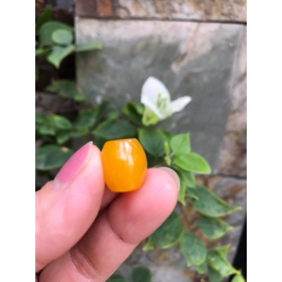 MẶT DÂY CHUYỀN HẠT LU THỐNG CHẤT LIỆU ĐÁ MÃ NÃO MÀU VÀNG TƯƠI LẠ ĐẸP Size Dài 14mm x dầy 13mm